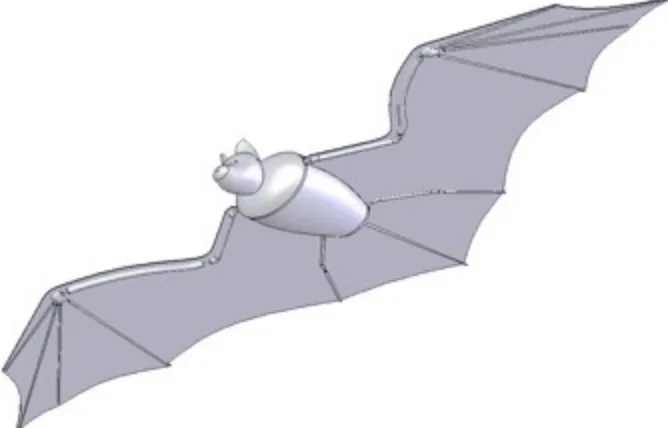 Figure 1: Knutson’s first phase model in SolidWorks 