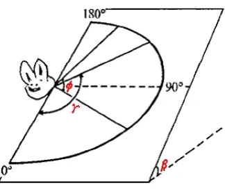 Figure 17: Wing-stroke plane 