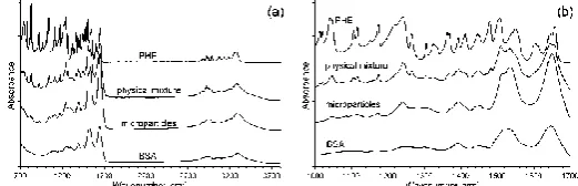 Figure 4. Powder X-ray diffractograms of BSA, PHE, PHE/BSA physical mixture, and microparticles obtained using spray drying