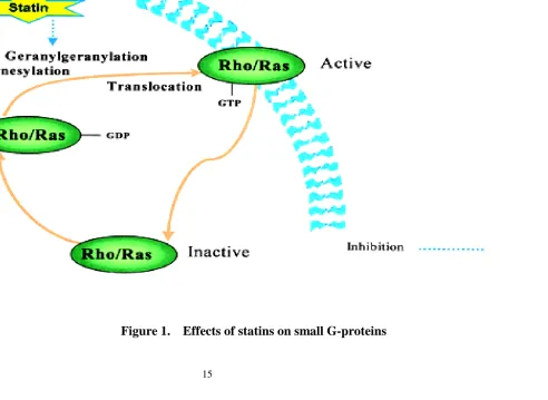 Figure 1.  Effects of statins on small G-proteins 