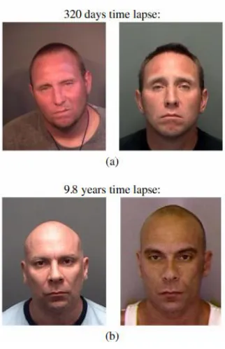 Fig. 5. Aging simulation 