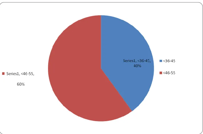 Figure 4.5: Age group 