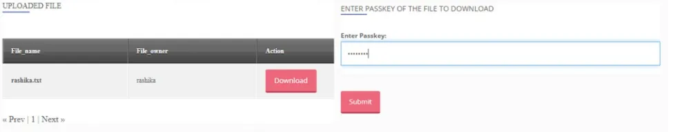 Fig 13: (a) Uploaded file by the user (b) Passkey is entered to download the file 