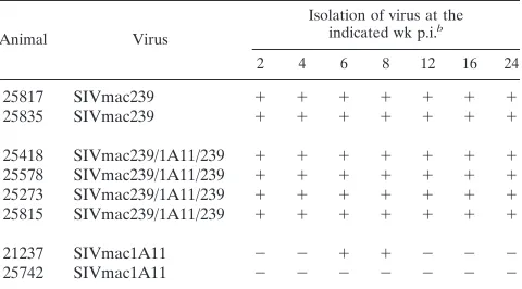 TABLE 1. Virus isolation from PBMC of rhesus macaquesinoculated intravaginally with SIV molecular clonesa