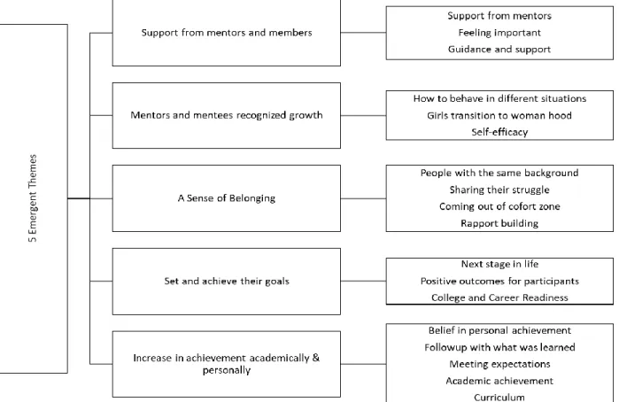 Figure 4. Emergent themes from coding. 