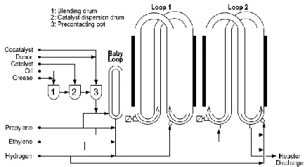 Figure 1 Process flow diagram of industrial loop reactor  
