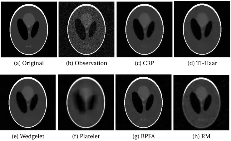 Figure 2.1:Comparison of the Bayesian smoothing method with other approaches forthe 256 × 256 Shepp-Logan phantom shown in (a)