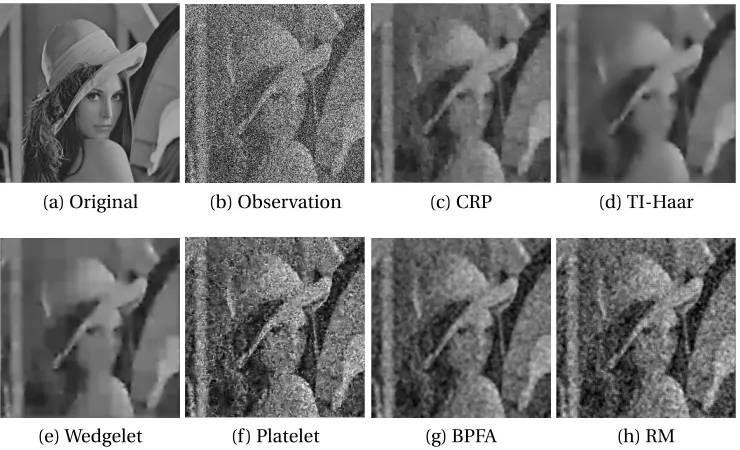Figure 2.2:Comparison of the Bayesian smoothing method with other approaches for the512 × 512 Lena image shown in (a)
