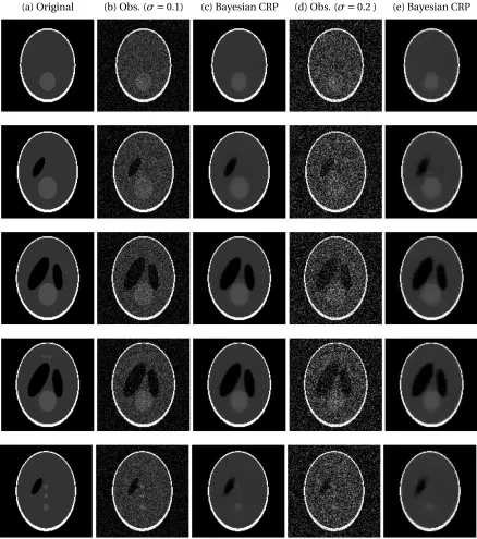 Figure 2.6:Performance of the Bayesian CRP approach for a 3D Shepp-Logan phantomthe 40th, 50th, 60th, 65th and 80th slice, and are selected to represent various featuresof a typical phantom image