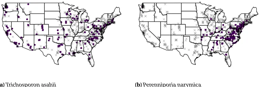 Figure 2.1 Map of presence (purple circle) or absence (gray ×) for two primarily indoor fungal taxa at eachsampling location.
