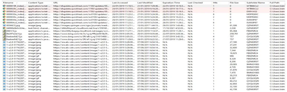 Fig 2: Retrieved information of cache data