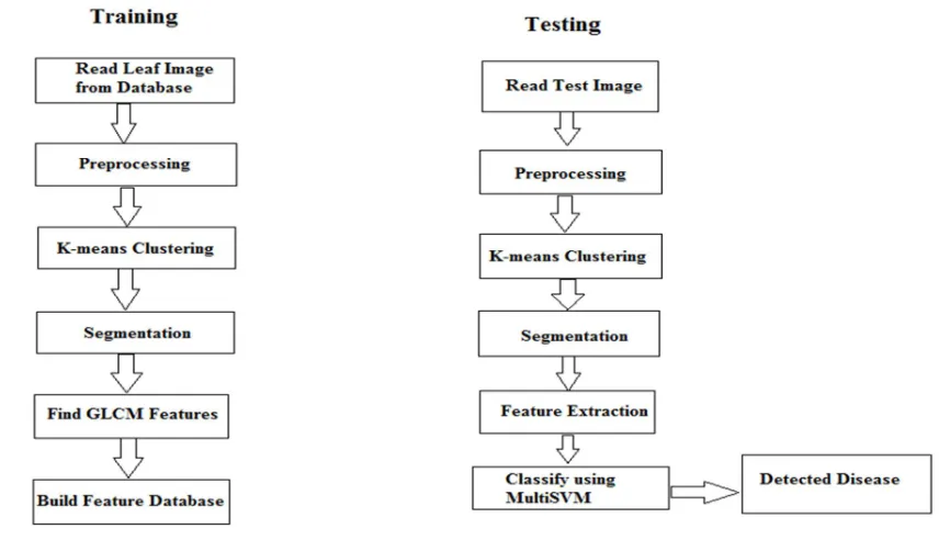 Figure 4: Eye Spot Image Dataset 