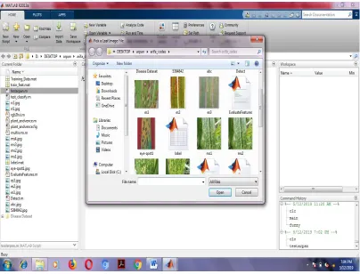 Figure 6 shows the disease dataset for the red rot disease. To detect the disease we first the take the image of the leaf and then enhance the image and then make the color transform and detect the color that is not visible by the human eyes, after that ou