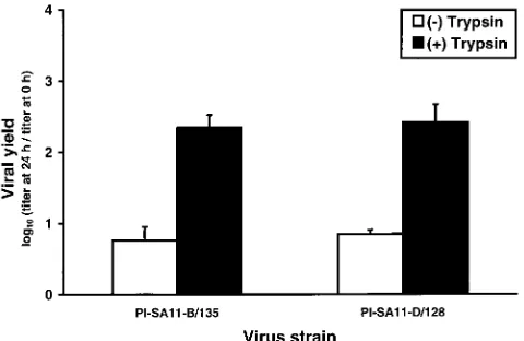 FIG. 6. SDS-PAGE of structural proteins of wt and PI viruses. Puriﬁed [3510particles) were loaded into wells of an 8% SDS-polyacrylamide gel