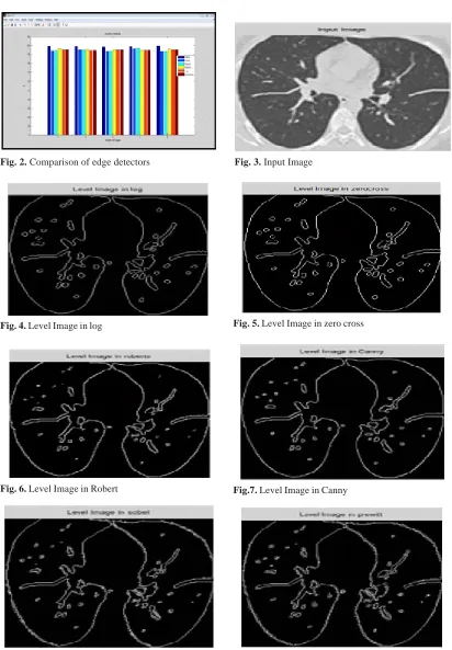 Fig. 4. Level Image in log