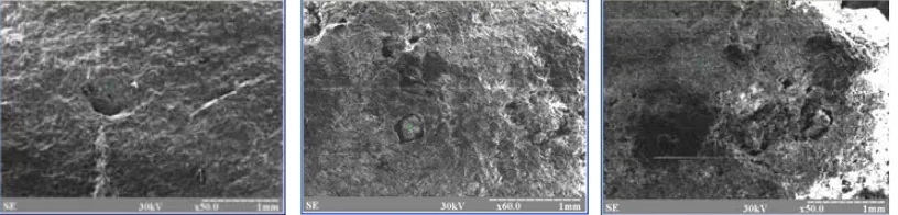 Fig. 2. Microphotograph of ceramic sample made from Cheboksary clay (withoutadditive, 25%, 50% OUP)