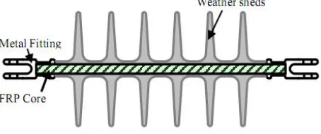 Fig. 1.  A Clean Model of Silicone rubber insulator 