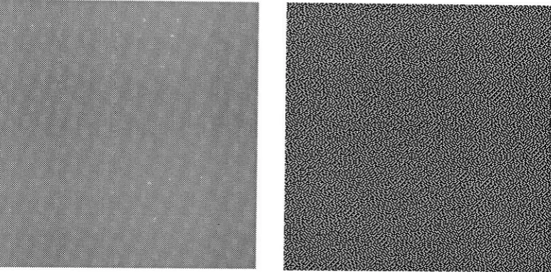 Figure 2.6: Examples of Floyd-Steinberg Halftones(The size of dotsenlarged for demonstration purpose)