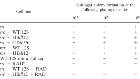 TABLE 1. Soft agar colony formation by transformed primaryepithelial cellsa