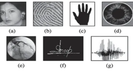 Figure 2: examples of  the biometric characteristics. (a) fingerprint. (b) face.  (c) Handgeometry