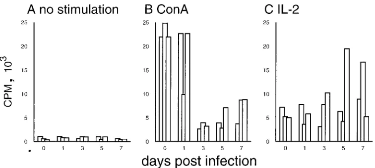 FIG. 7. Changes in the proliferative capacity of PBMC during CSFV infection. PBMC obtained from pigs before infection (0) and 1, 3, 5, and 7 days p.i