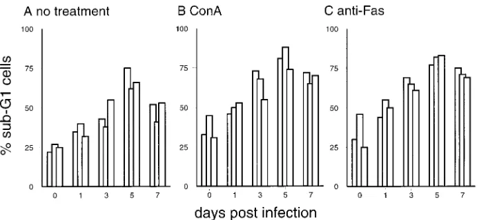 FIG. 8. In vitro culture, ConA (10 �The same PBMC used for Fig. 7 were cultured for 24 h, and apoptotic cells located in the sub-Gg/ml) treatment, and anti-Fas (CH-11; 0.5 �g/ml) treatment result in enhanced apoptosis of PBMC from CSFV-infected pigs.1 regi