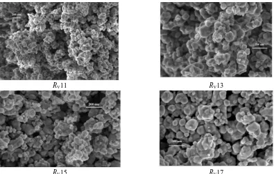 Figure 3. SEM images of the SrFe12O19/CoFe2O4 nanocomposite samples with different mass ratios (Rm) calcinated at 850 °C for 5 h