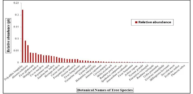 Fig 4: Relative Abundance of tree species in Roadside-Residential areas of Camp III region 