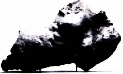 Fig.2 Rodin,6 Torso ofAdele, 1882, plaster 1/5x19 1/2x7 2/5 in.