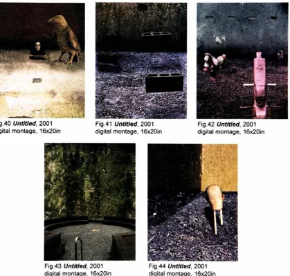 Fig.40 Untitled, 2001