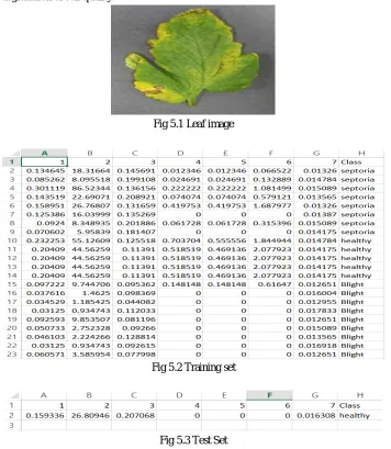 Fig 5.1 Leaf image   