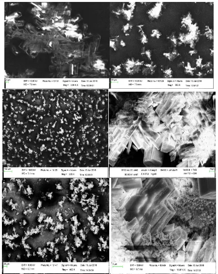 Fig. 4 (c) The scanning electron micrographs of MnCo3O4 thin film deposited on porous copper substrate