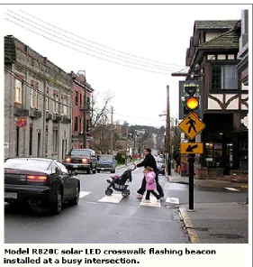 Figure 4: Roadside Pedestrian Flasher  