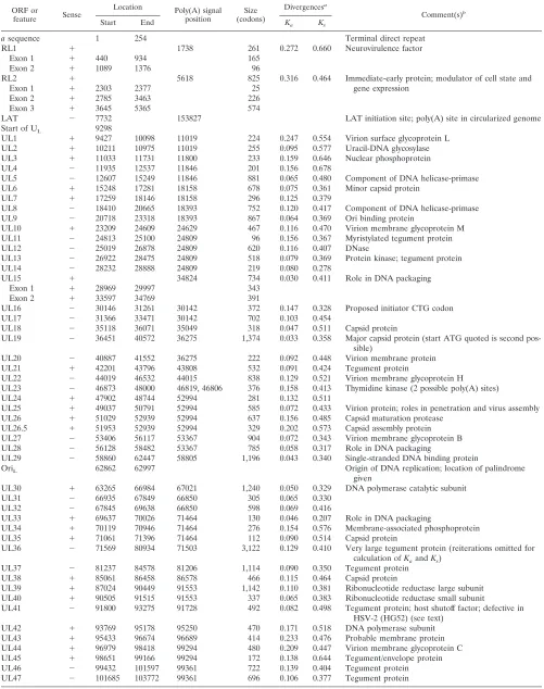 TABLE 3. Locations of protein-coding regions and other features in the HSV-2 genomic sequence