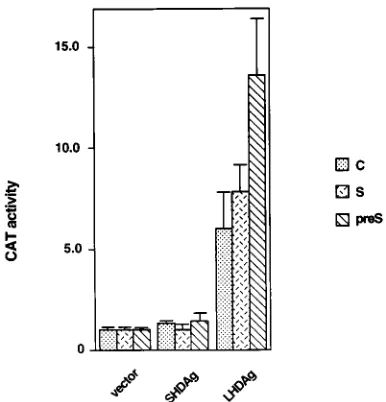 FIG. 6. Activation of HBV promoters by LHDAg. One microgram of theindicated HBV-CAT reporter construct was cotransfected into HepG2 cells with
