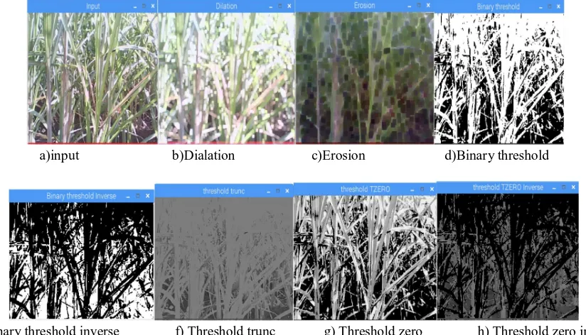 Fig. 3 Compressed image 