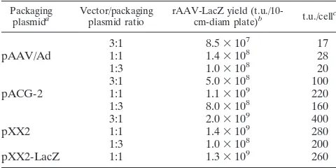 TABLE 1. Comparison of rAAV titers produced by differentpackaging plasmids