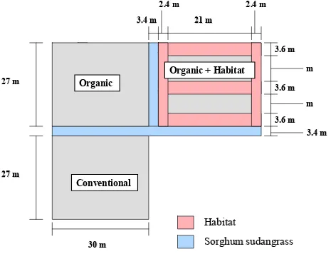 Figure 3. Plot design for Replication 3 in 2004.