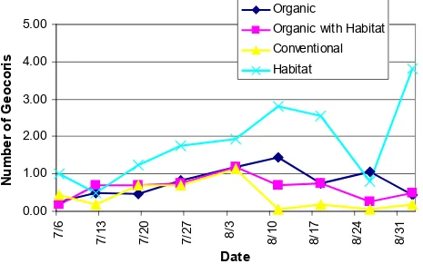 Figure 7. Plot means of combined sweep-sampled Geocoris spp. adults and immatures per 10 sweeps in organic andconventional cotton in 2005
