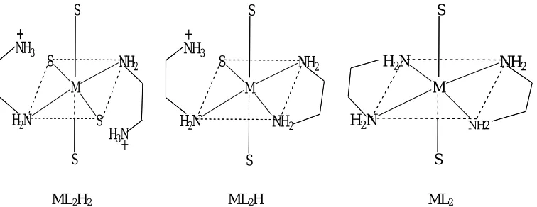 Figure 4: Speculative structures of Ethylenediamine complexes with Ca (II), Mg (II) and Zn (II) where S is either solvent or water molecules