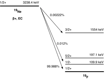 Figure 2.2 Decay scheme for 19Ne.