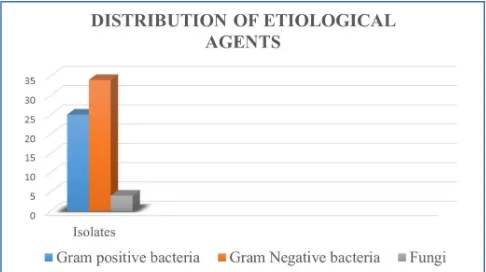 Figure 4: Distribution of isolates 