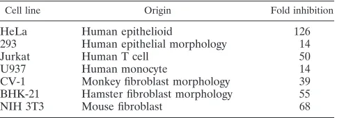 TABLE 1. The negative element in HPV-16 L2 is activein cells of different origins