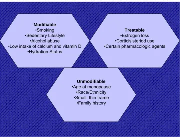 Figure 2.1 – Osteoporosis Risk Factors 
