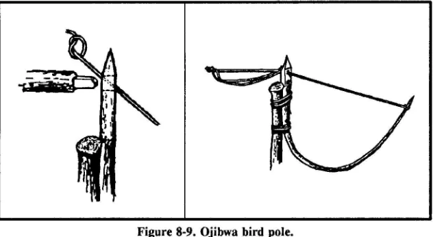 Figure 8-9. Ojibwa bird pole.