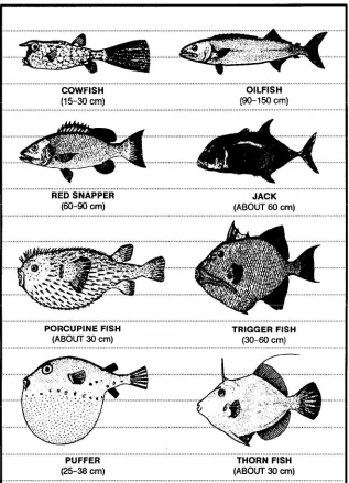 Figure 8-2. Fish with poisonousflesh.