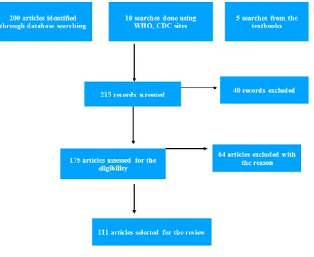 Figure 1: Methodology. 