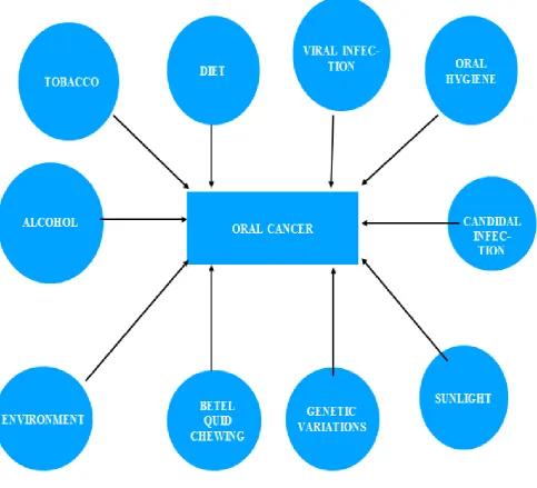 Figure 2: Web of causation. 