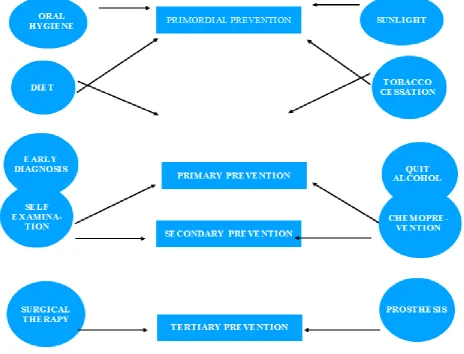 Figure 3: Web of prevention. 