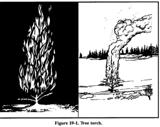 Figure 19-1.Tree torch.